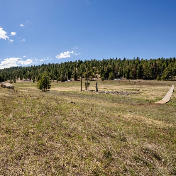 Lot 25 To Be Determined, Unit 25 McCall, ID 83638 - Photo 2 of 2