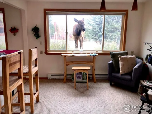 a view of city and mountain