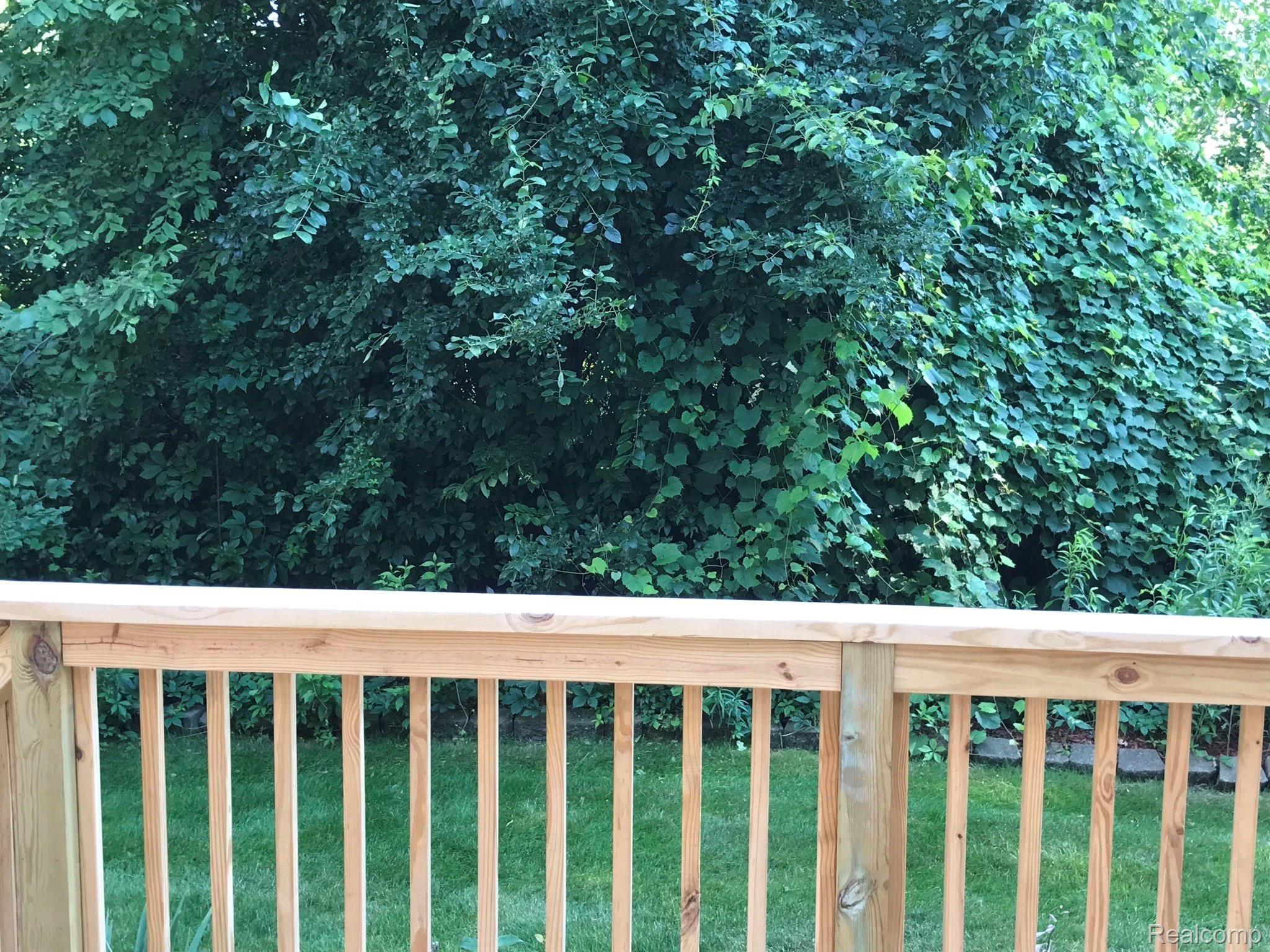 21587 Quail Ridge Drive Riverview, MI 48193 - Photo 29 of 31 qrcbackyard.JPEG