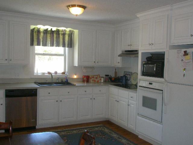 400 Canoe Branch Road Castalian Springs, TN 37031 - Photo 3 of 14 Kitchen with lots of cabinets