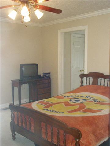 400 Canoe Branch Road Castalian Springs, TN 37031 - Photo 5 of 14 Bedroom