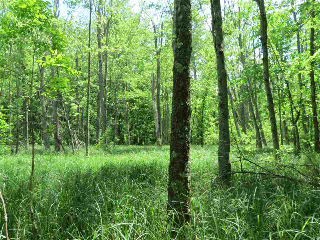 4900 Eaton Rapids Road Albion, MI 49224 - Photo 46 of 49 Photo 46
