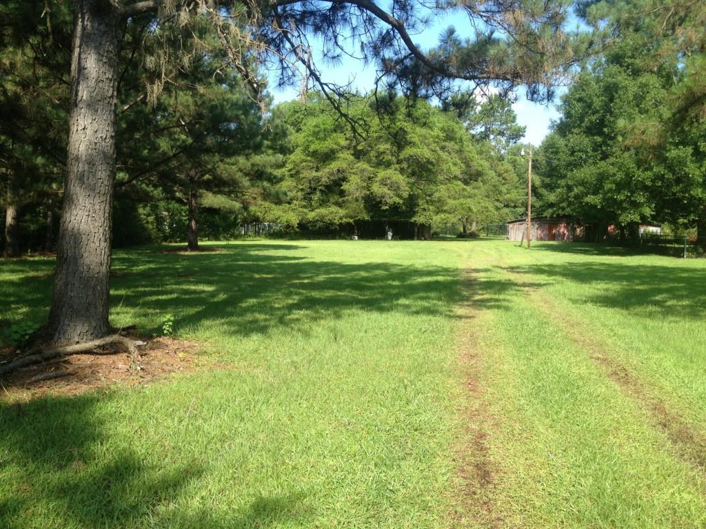 41019 Dunson Road Ponchatoula, LA 70454 - Photo 4 of 7 Gallery Image 4