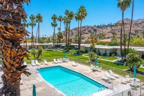 a view of a backyard with a garden and plants