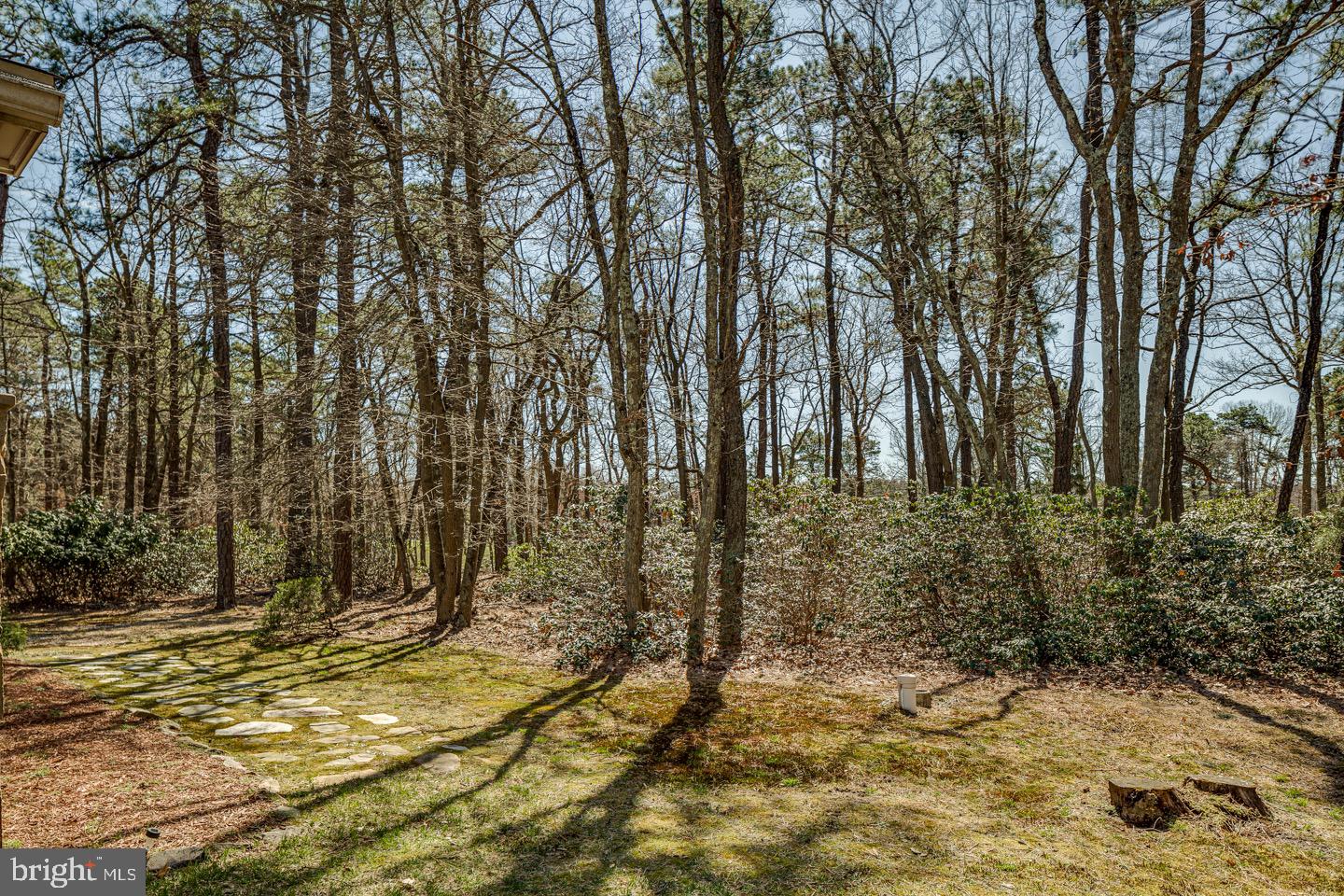 213 Hopewell Road Marlton, NJ 08053 - Photo 54 of 82