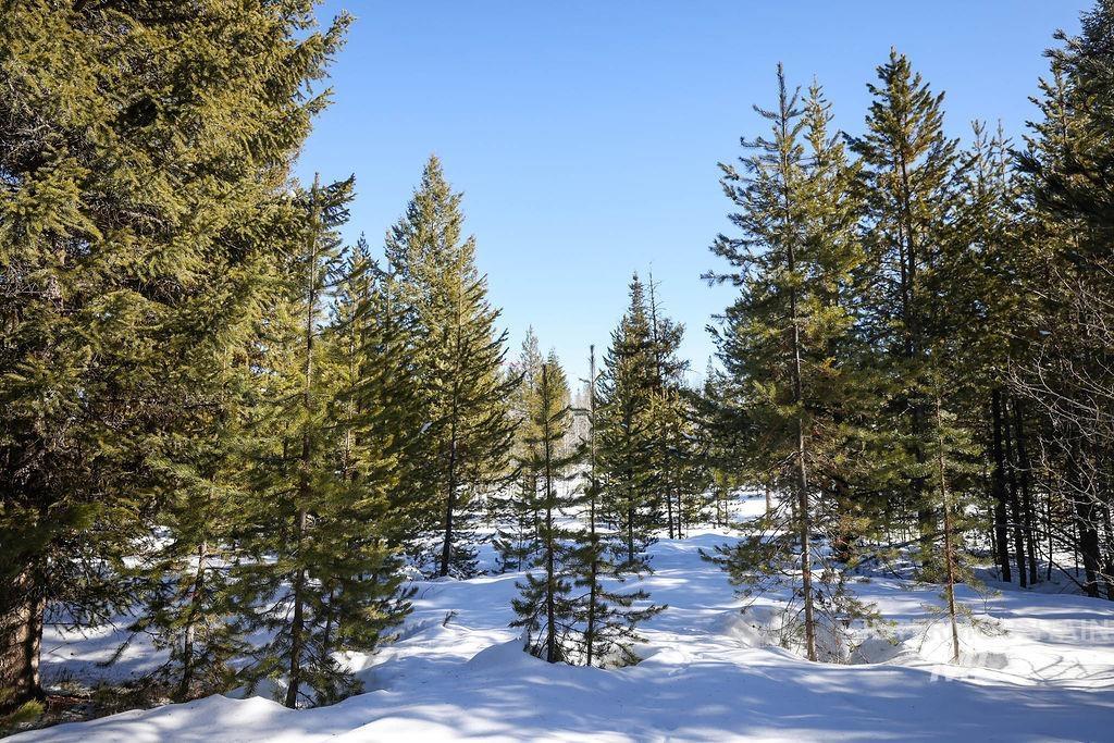 8 Haymaker Place McCall, ID 83638 - Photo 13 of 14