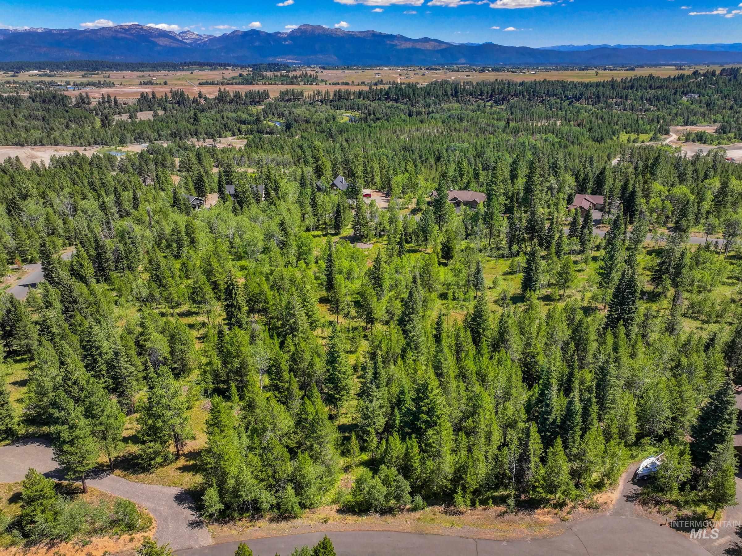 8 Haymaker Place McCall, ID 83638 - Photo 3 of 14