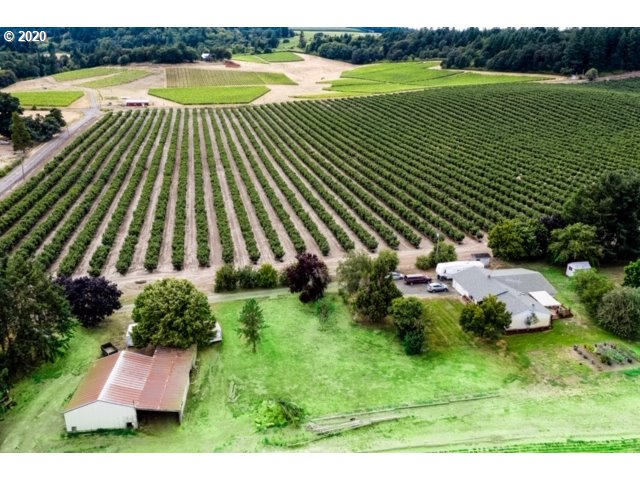 12655 Oak Road Northwest Salem, OR 97304 - Photo 3 of 24 a view of outdoor space and yard
