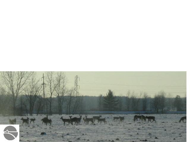 2552 North Lentner Road Turner, MI 48765 - Photo 9 of 9 1763964-8.JPG