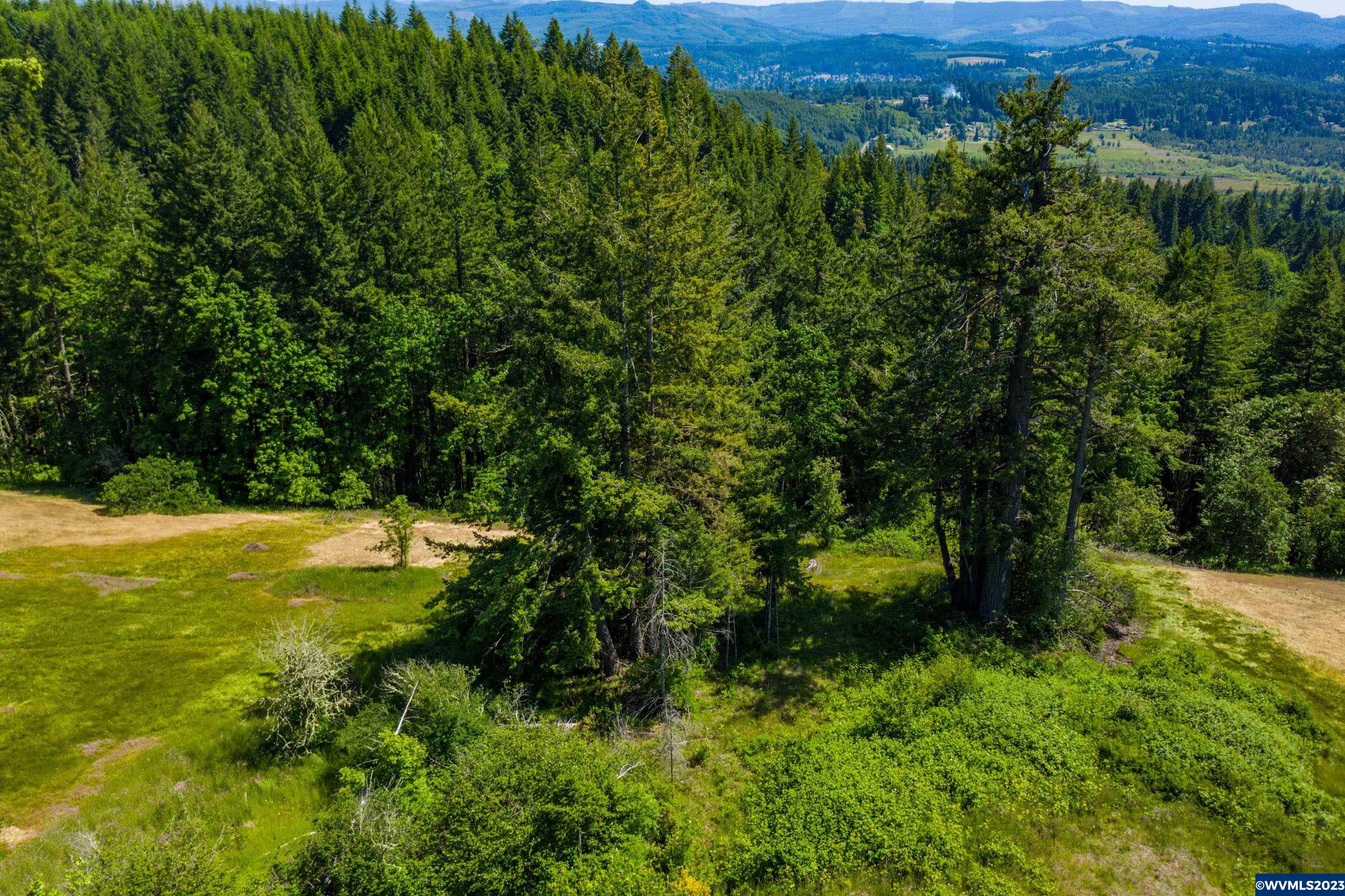 Marks Ridge Sweet Home, OR 97386 - Photo 21 of 32