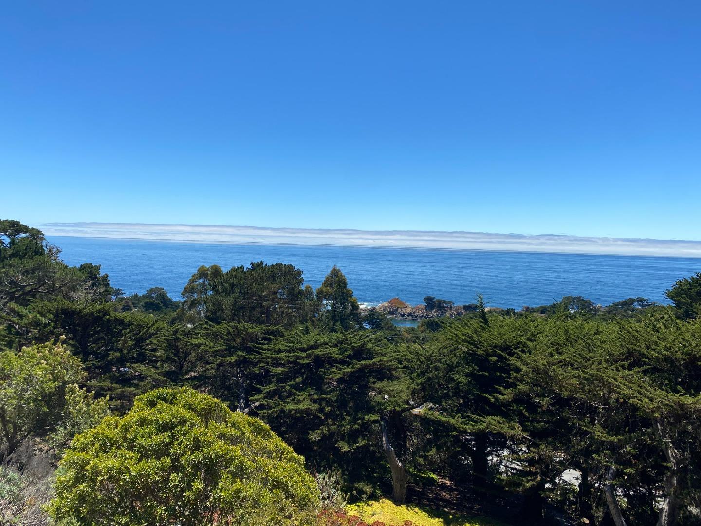 190 Upper Walden Road Carmel, CA 93923 - Photo 3 of 34 a view of a bunch of trees in a field