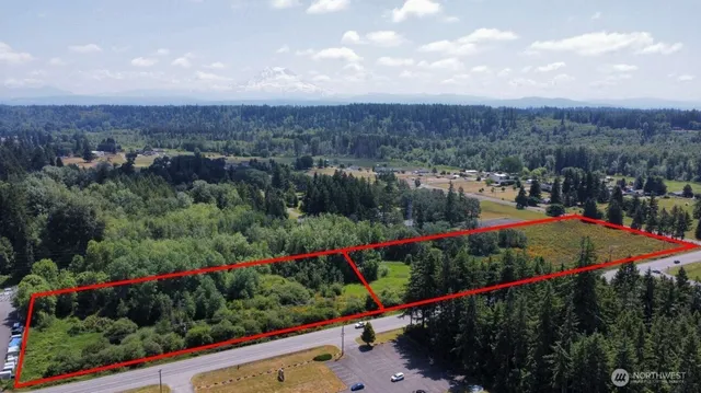 an outdoor view of garden with flowers and trees