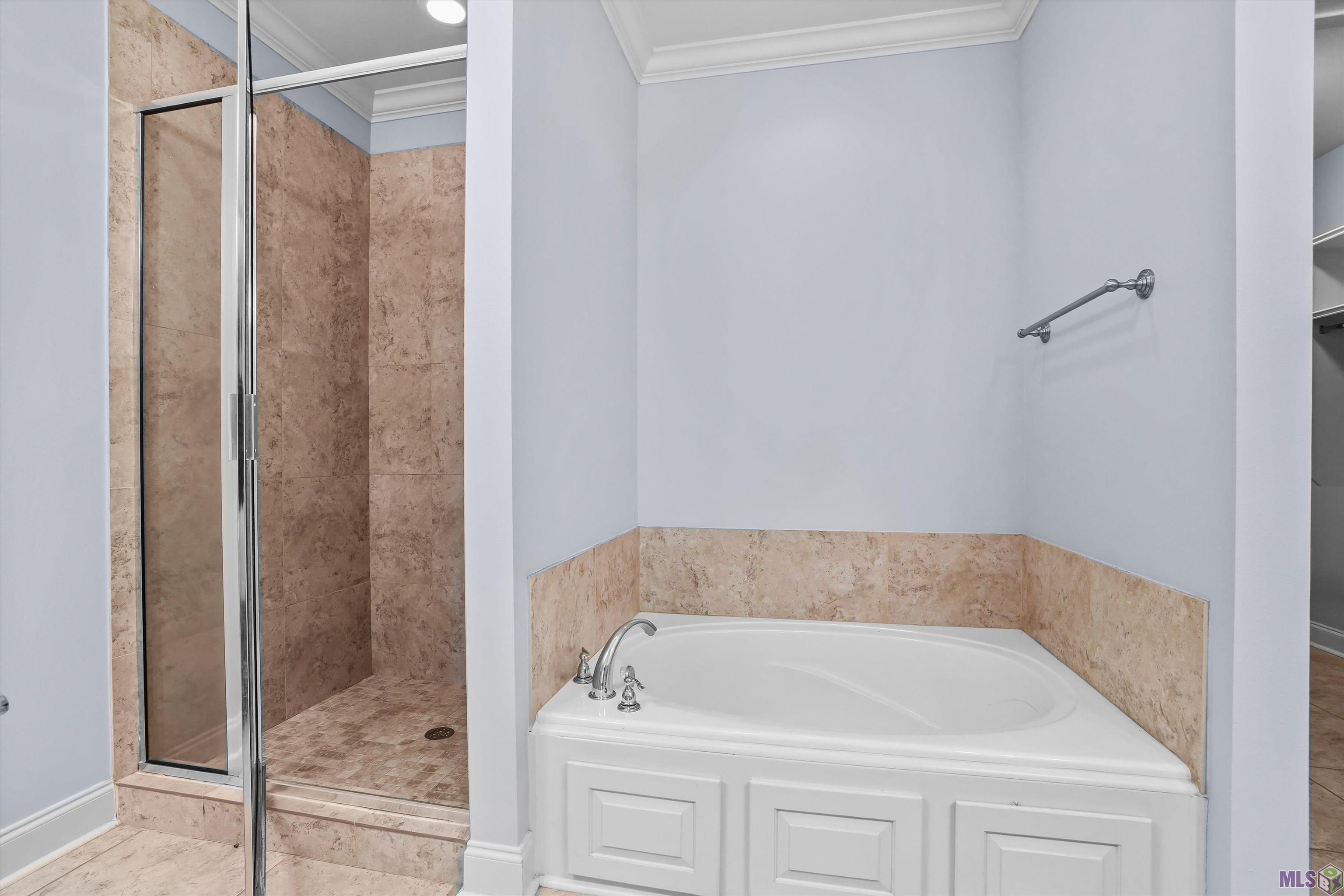 7703 Ibiza Drive Baton Rouge, LA 70820 - Photo 9 of 20 Seperate Shower and Soaking Tub in Primarry Bath