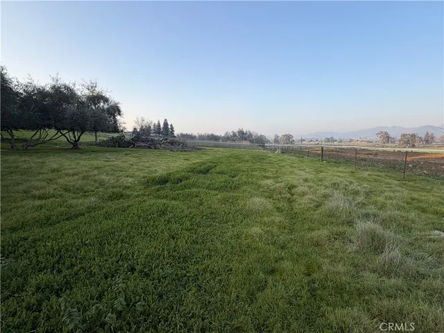a view of a field with a tree in the background