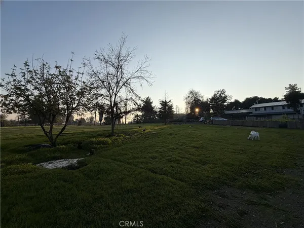 a view of field with trees in background