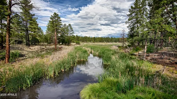 a view of balcony with wooden floor and fence