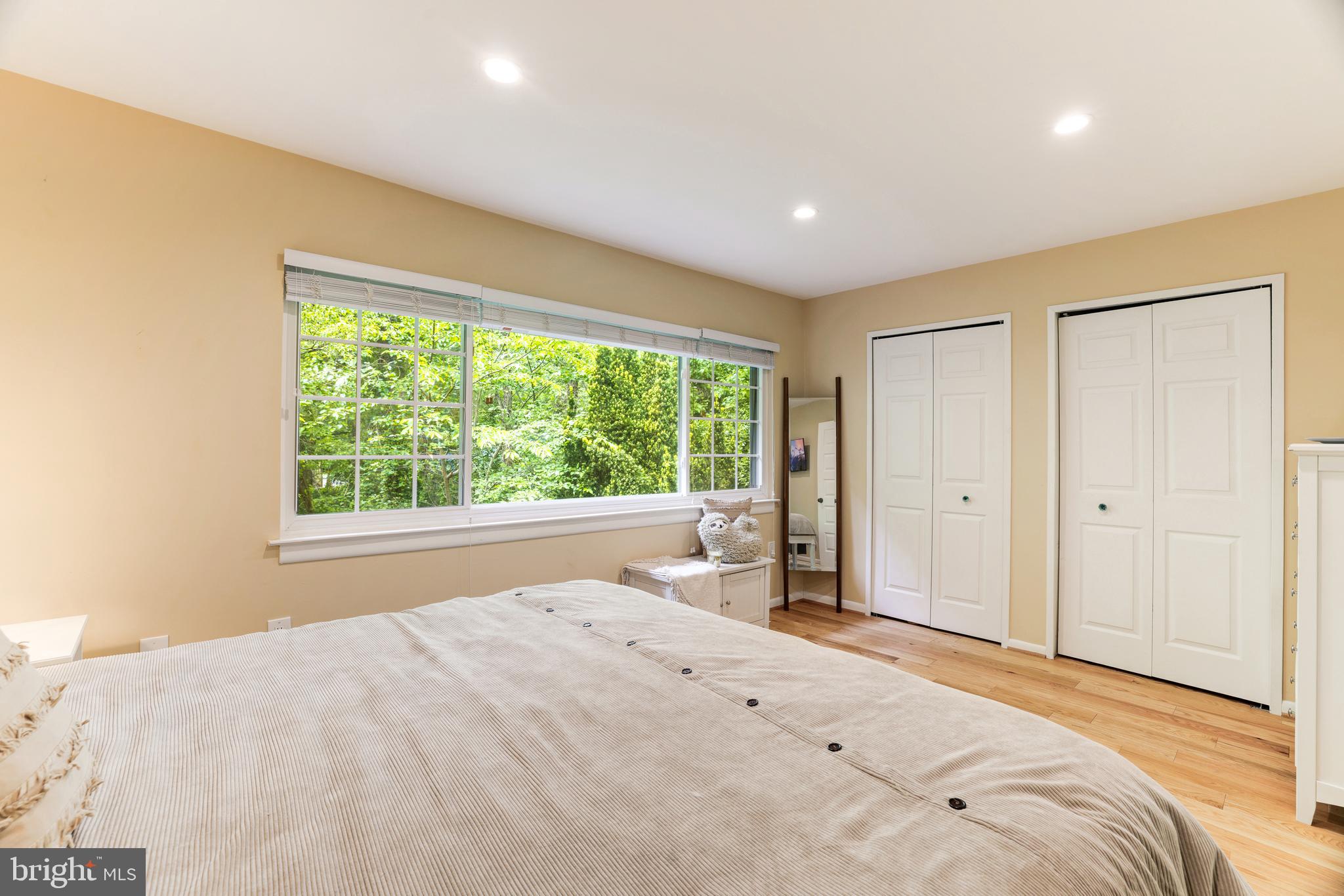 11340 Headlands Court Reston, VA 20191 - Photo 8 of 31 Ample closet space & recessed lighting