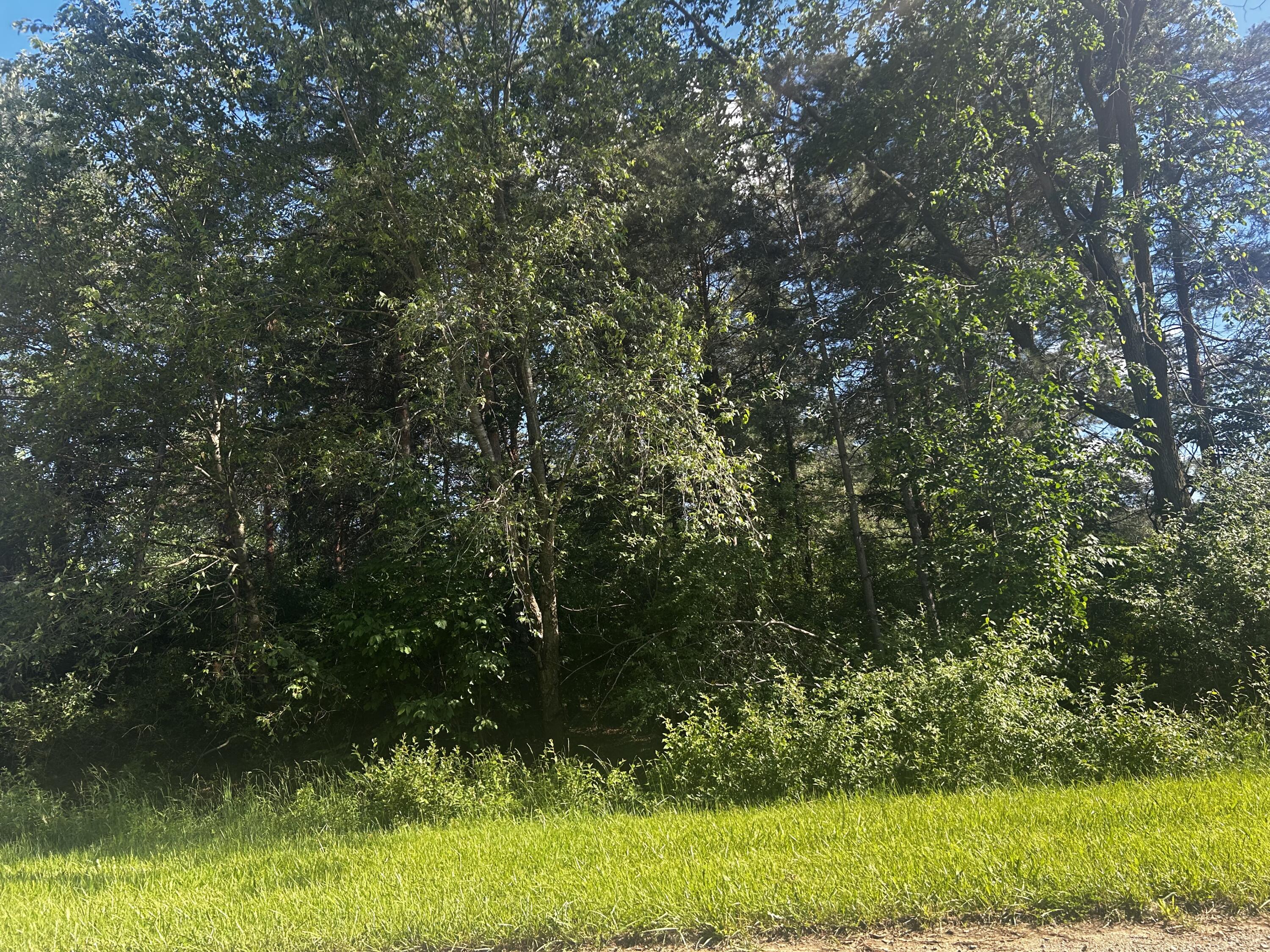 West Ranger Road Perrinton, MI 48871 - Photo 11 of 12 IMG_9316
