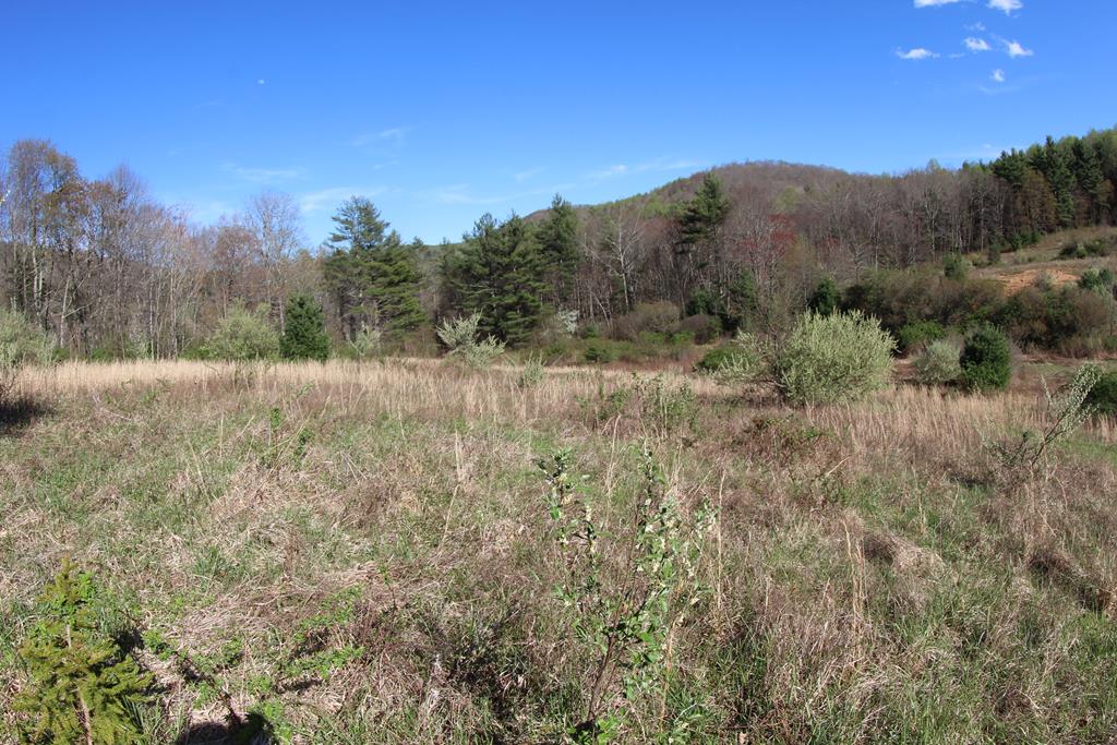 0 Burnett Road Southwest Meadows Of Dan, VA 24120 - Photo 6 of 20 Gallery Image 6