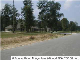 31400 North Corbin Road Walker, LA 70785 - Photo 2 of 3