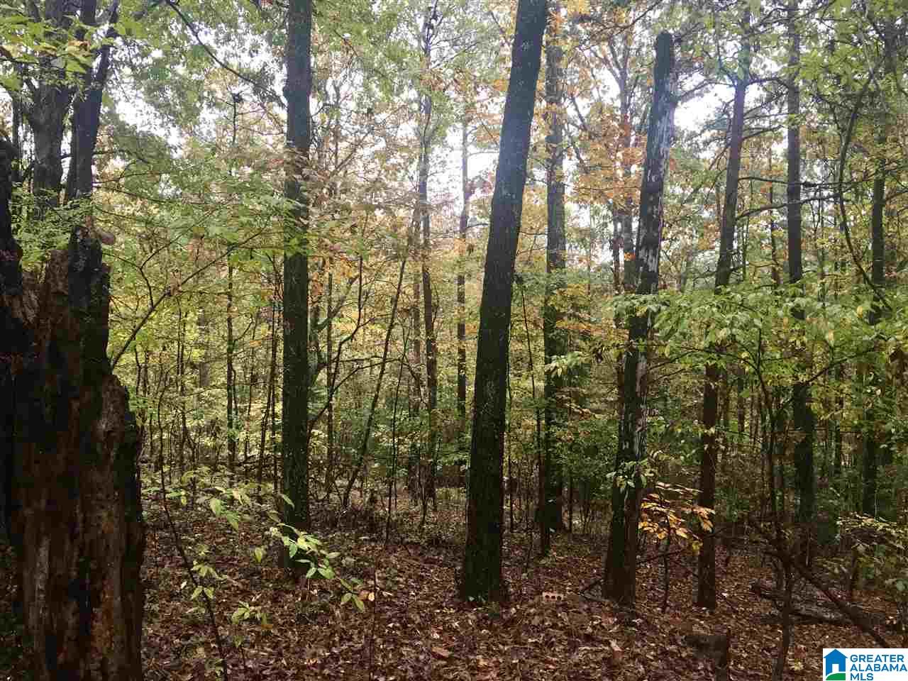 6761 Highway 10 Montevallo, AL 35115 - Photo 43 of 45