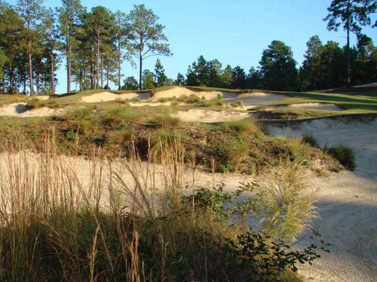 13 Middlebury Road Southern Pines, NC 28374 - Photo 4 of 5 FOREST CREEK 12 NORTH