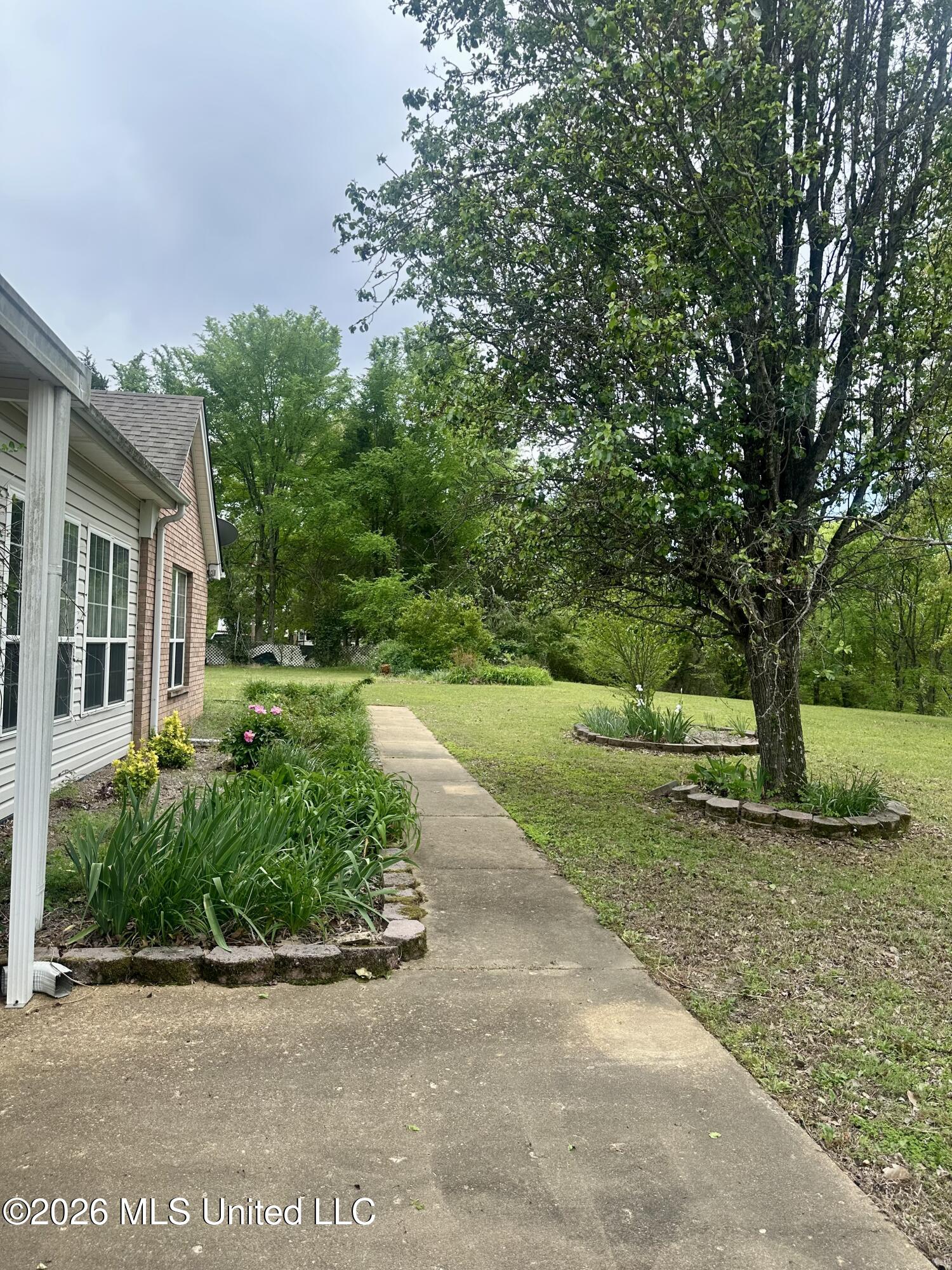 7472 Alphaba Road Coldwater, MS 38618 - Photo 16 of 21 IMG_5158