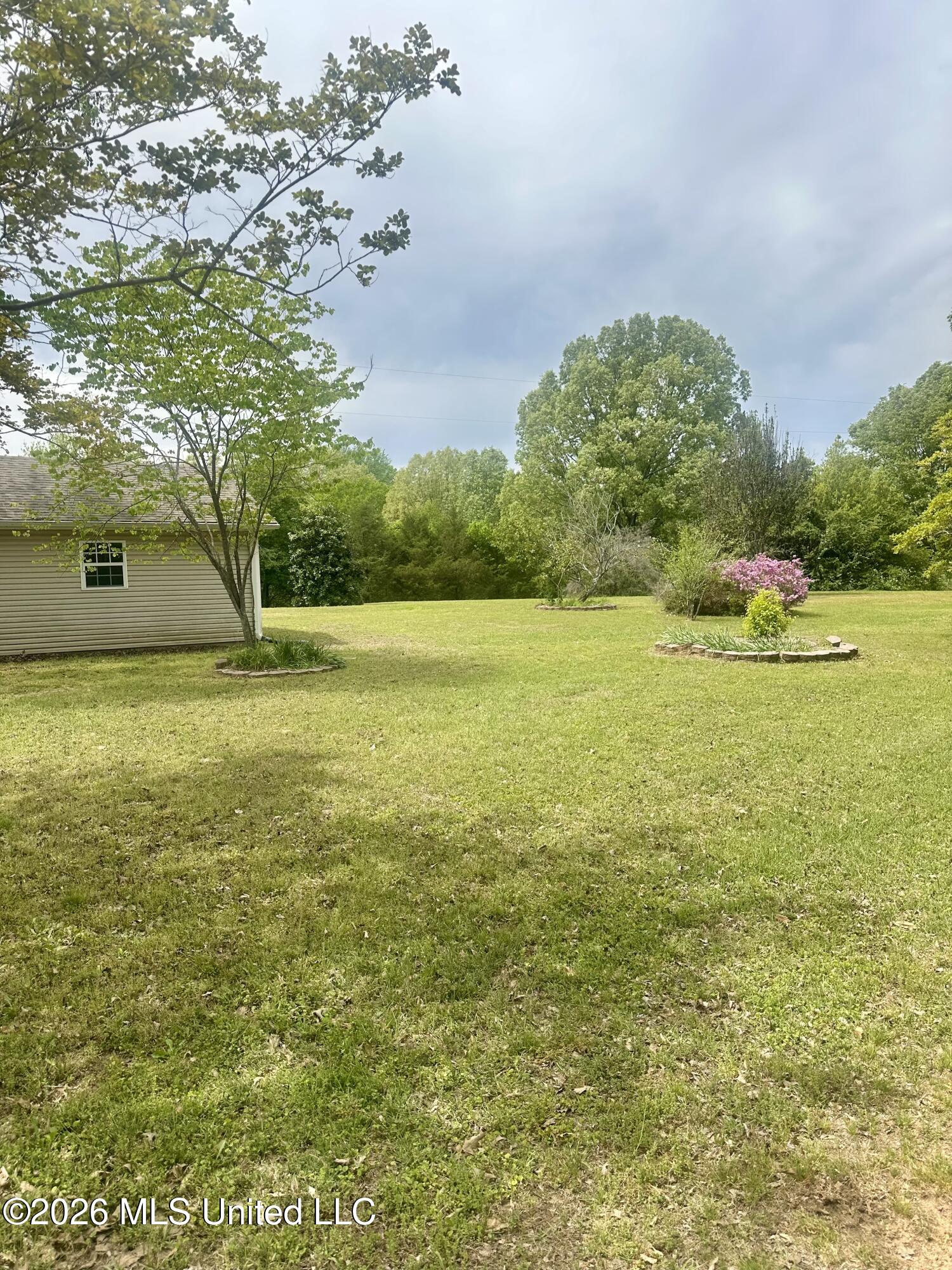 7472 Alphaba Road Coldwater, MS 38618 - Photo 19 of 21 IMG_5134