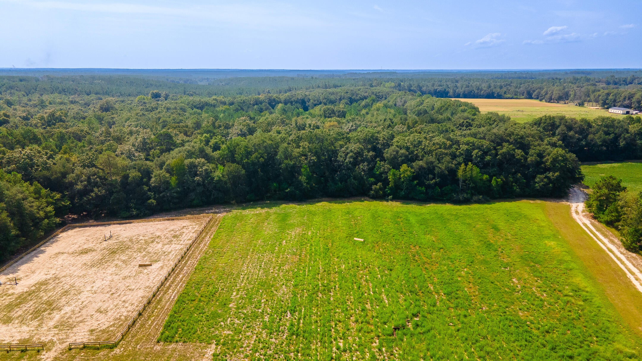 2122 New Holland Road Wagener, SC 29164 - Photo 5 of 48 Gallery Image 5