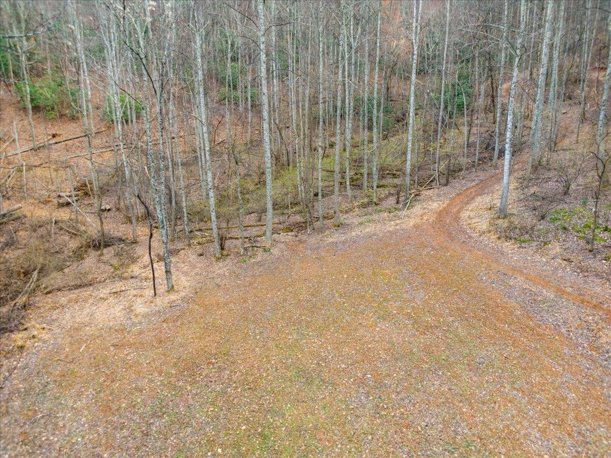 193 Timber Creek Road Stuart, VA 24171 - Photo 51 of 87 Gallery Image 51