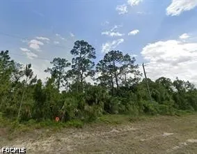 a view of a bunch of trees
