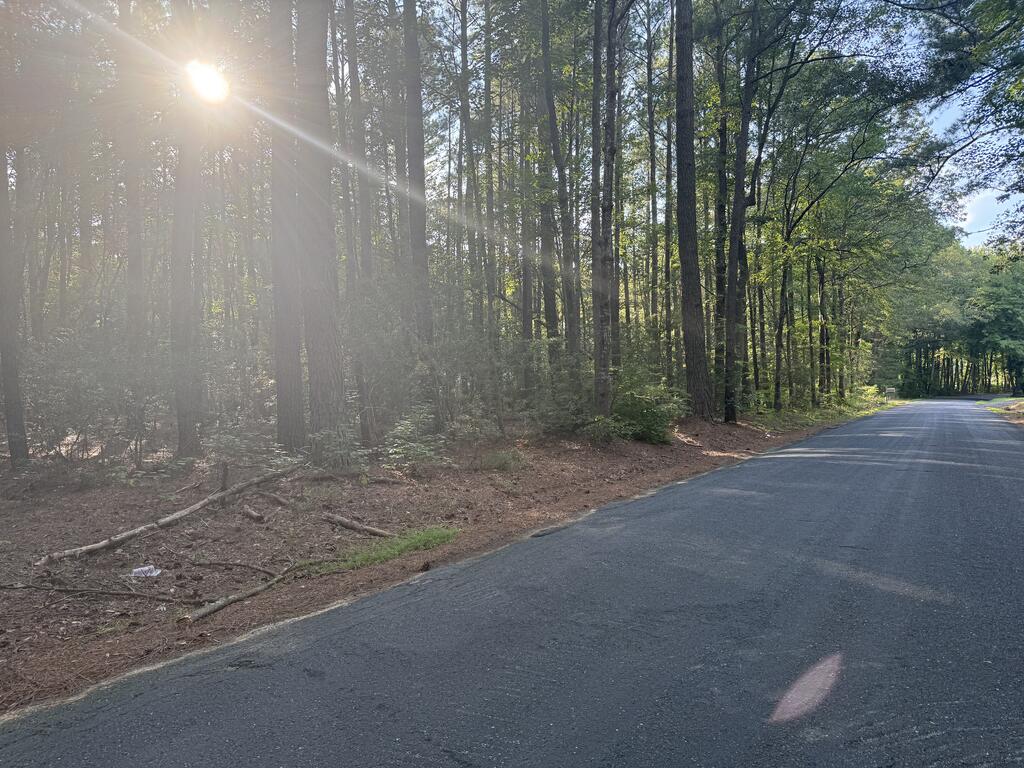 Lot 3 Race Track Road, Unit 3 Melfa, VA 23410 - Photo 4 of 5 Gallery Image 4