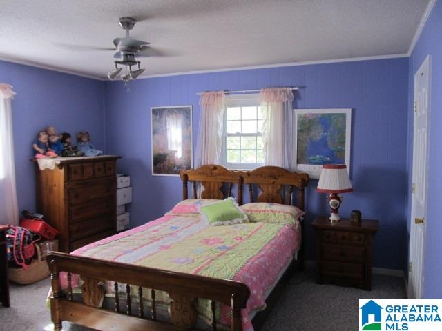 347 Pine Mountain Road Remlap, AL 35133 - Photo 20 of 49