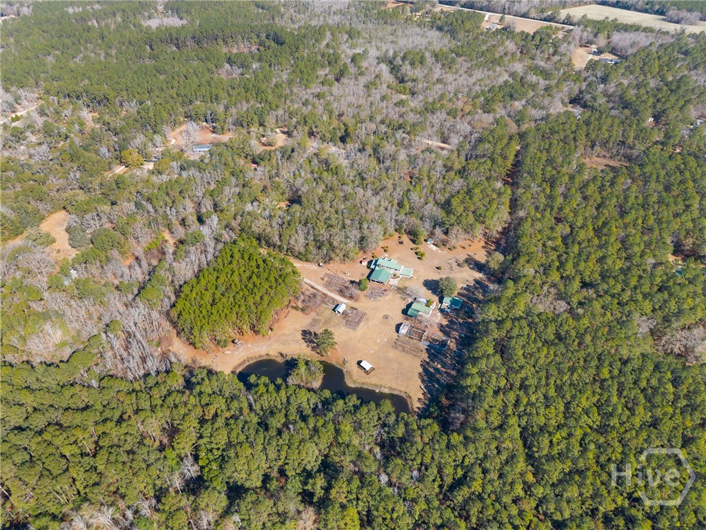 549 Kendricks Road Brooklet, GA 30415 - Photo 13 of 55