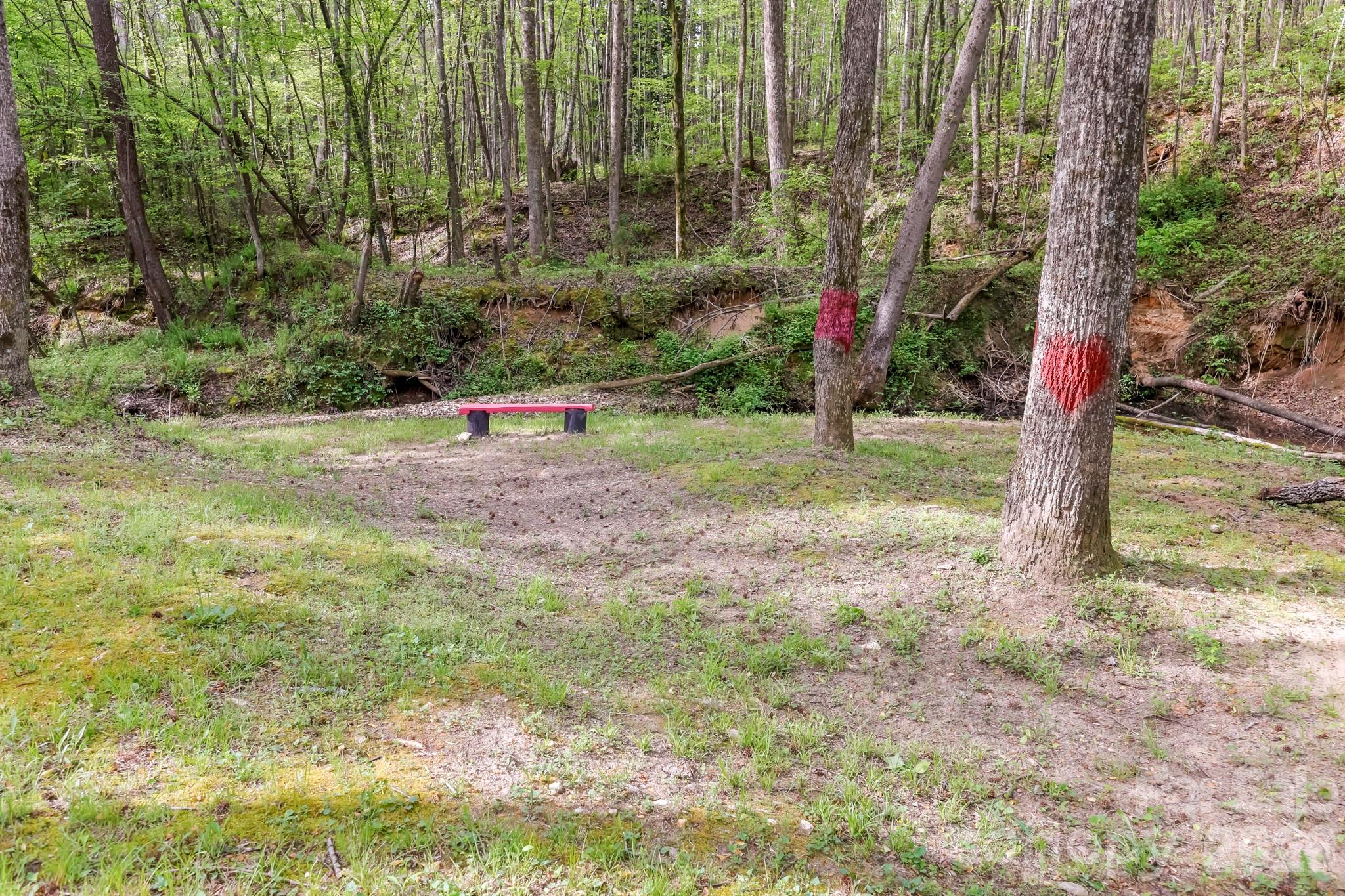 168 Robert Church Road Ellenboro, NC 28040 - Photo 19 of 31