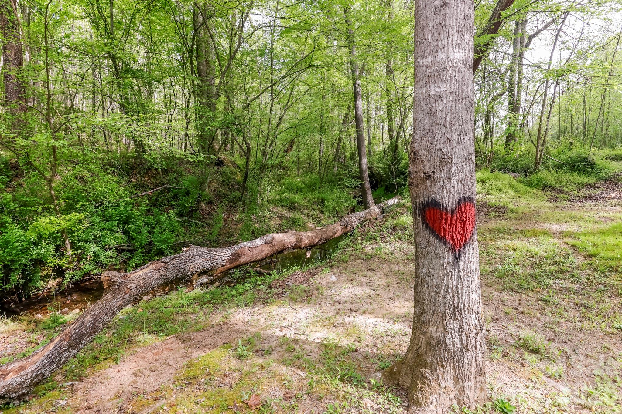 168 Robert Church Road Ellenboro, NC 28040 - Photo 22 of 31