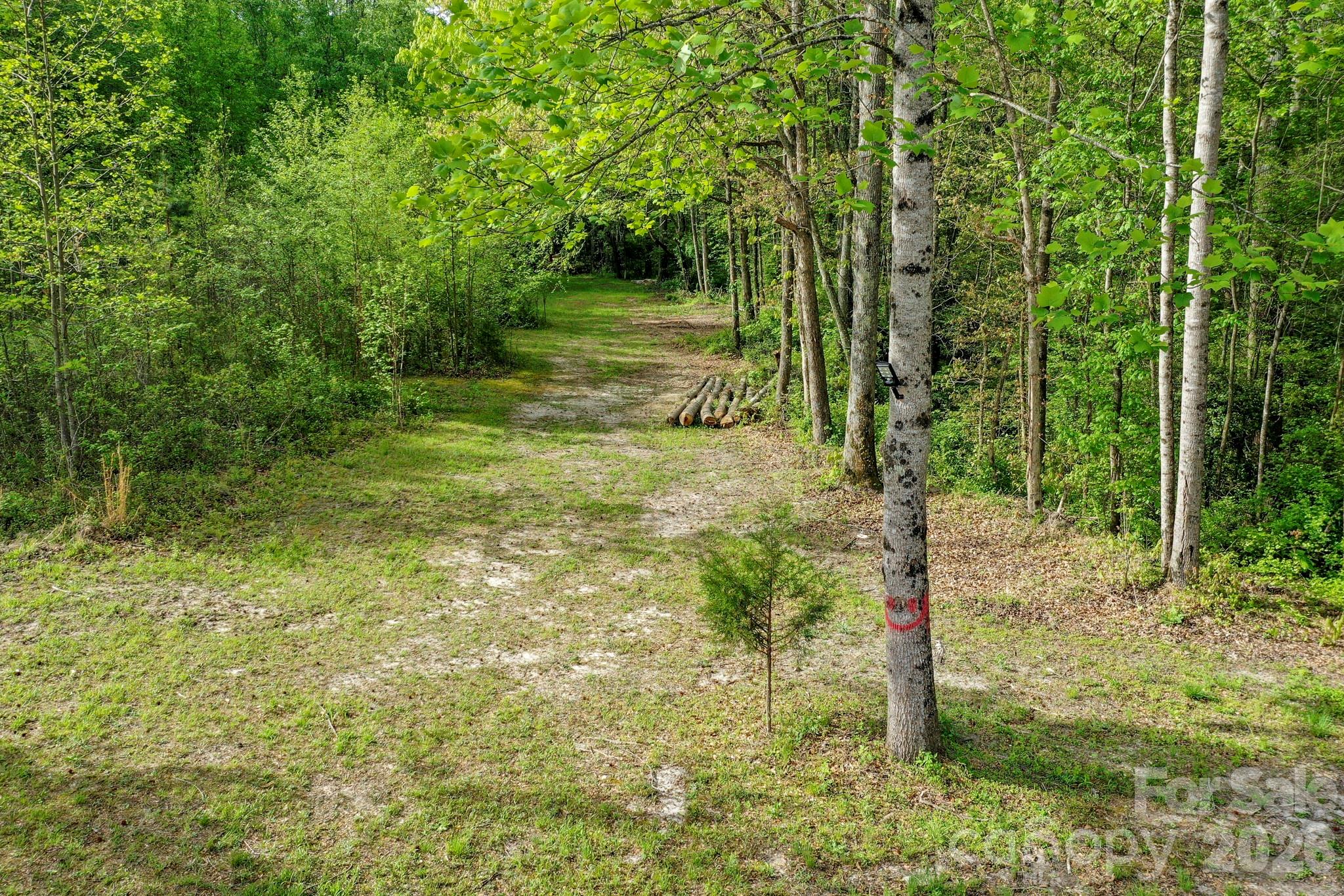 168 Robert Church Road Ellenboro, NC 28040 - Photo 28 of 31