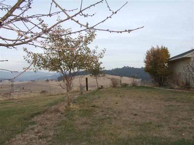 10210 East Doak Road Spokane, WA 99217 - Photo 9 of 9