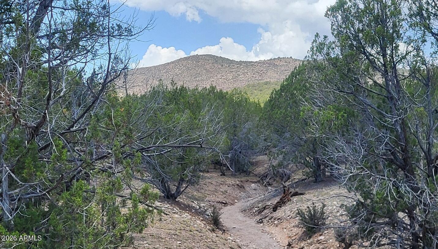 67 Ranch Road, Unit 67 Williams, AZ 86046 - Photo 12 of 19 60b32e0b-db97-4e85-99ac-50587ee0a2d6