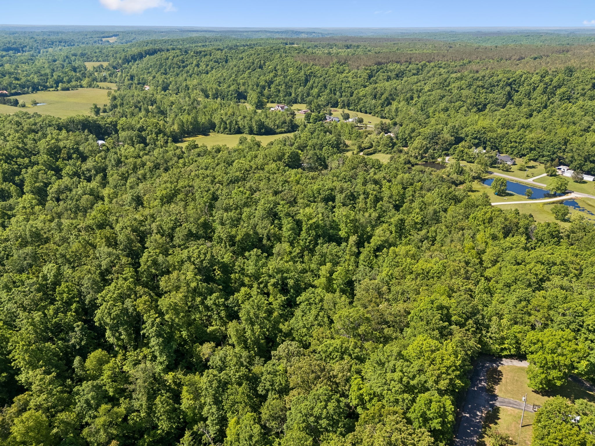 619 Longbranch Road Hohenwald, TN 38462 - Photo 75 of 82 Gallery Image 75