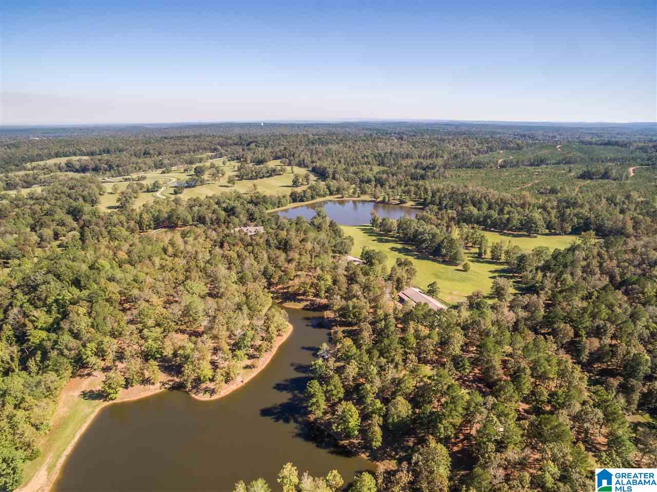 2644 Highway 42 Calera, AL 35040 - Photo 8 of 48