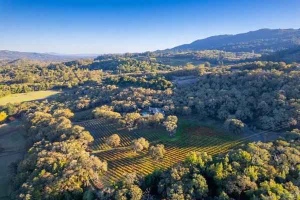 $3,600,000 | 3295 Warm Springs Road, Glen Ellen, CA 95442