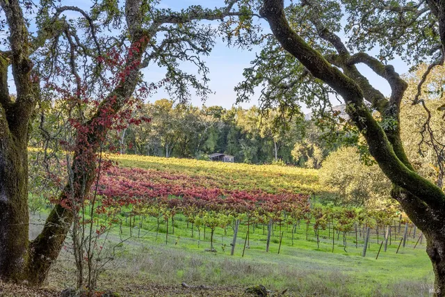 an aerial view of residential house and sandy dunes