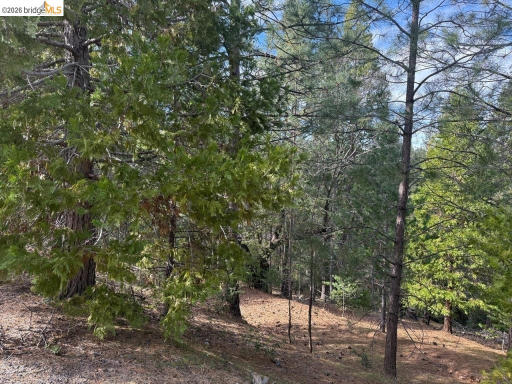 12037 Breckenridge Road Groveland, CA 95321 - Photo 4 of 6