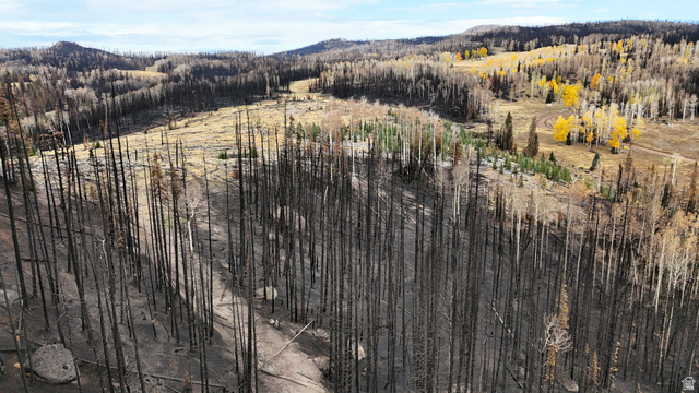 123 Tbd Monroe Canyon Road Monroe, UT 84754 - Photo 27 of 80 Drone / aerial view of a heavily wooded area