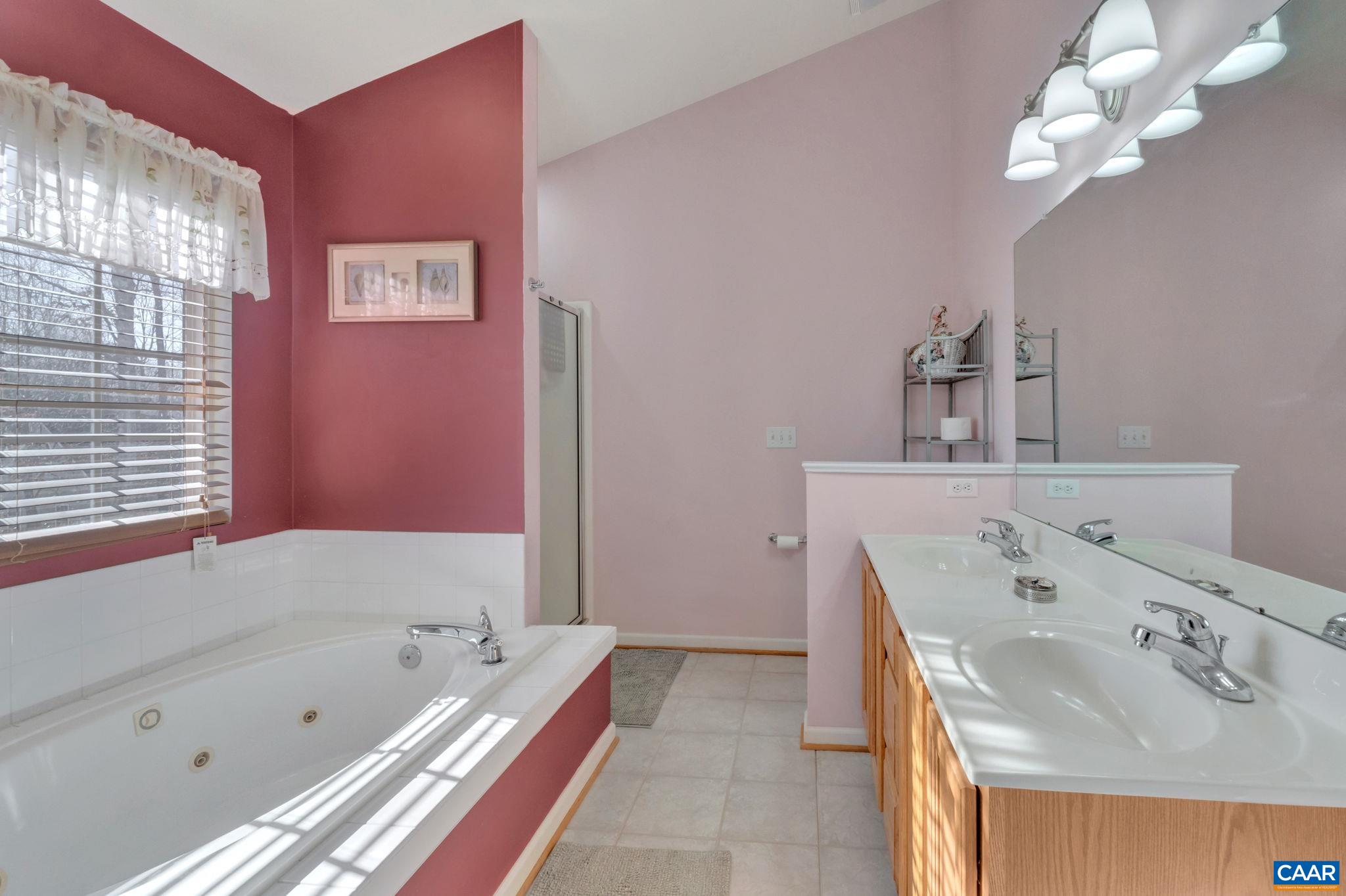 70 Laguna Road Palmyra, VA 22963 - Photo 18 of 33 a bathroom with a tub a sink and a large mirror