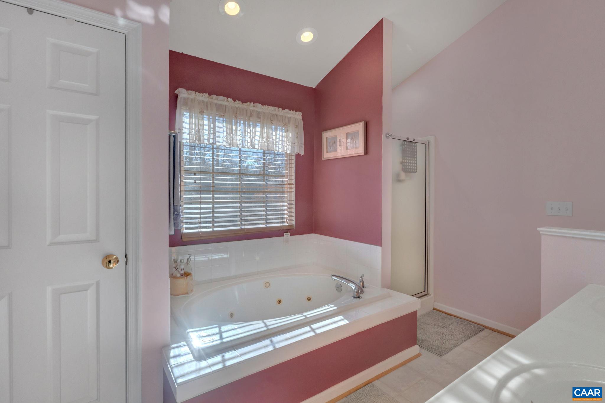 70 Laguna Road Palmyra, VA 22963 - Photo 19 of 33 a bathroom with a bathtub and a shower