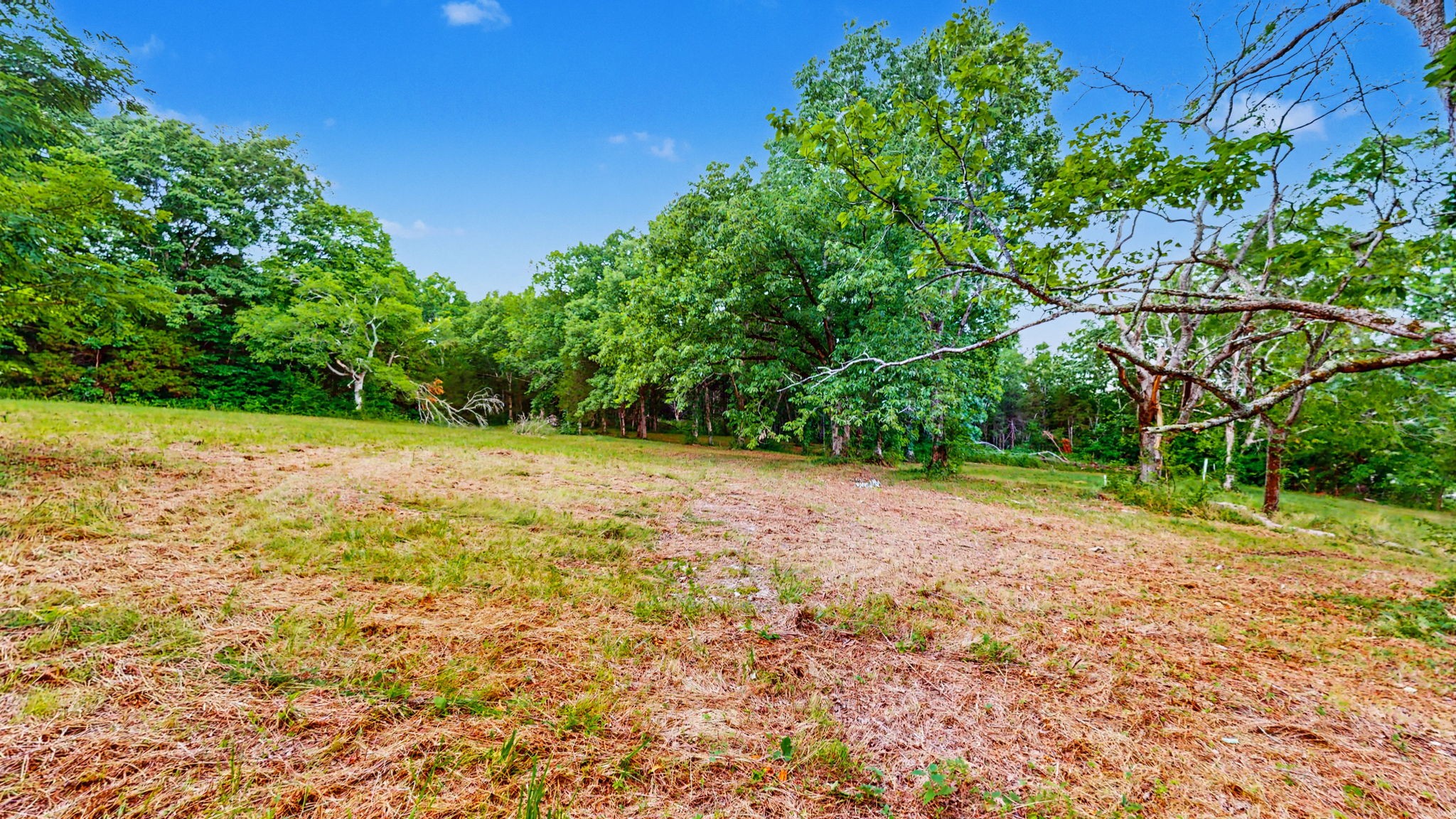 0 Morgan Road Rockvale, TN 37153 - Photo 13 of 24