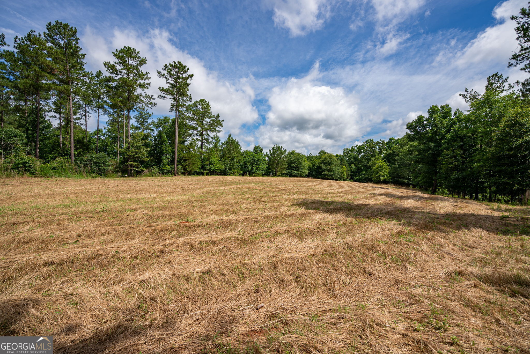 2286 Duffell Martin Road Comer, GA 30629 - Photo 40 of 81