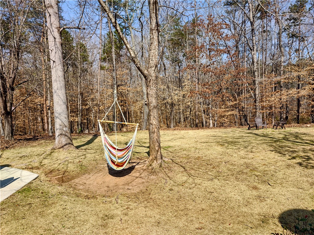 205 Catawbah Road Clemson, SC 29631 - Photo 14 of 50 Gallery Image 14